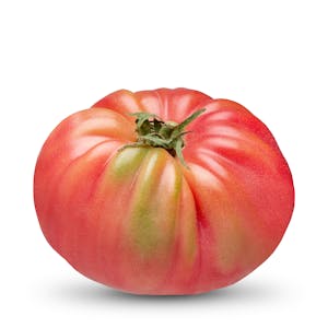 Tomate fresco