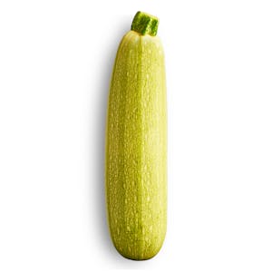 Zucchini